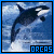 Orca Wale